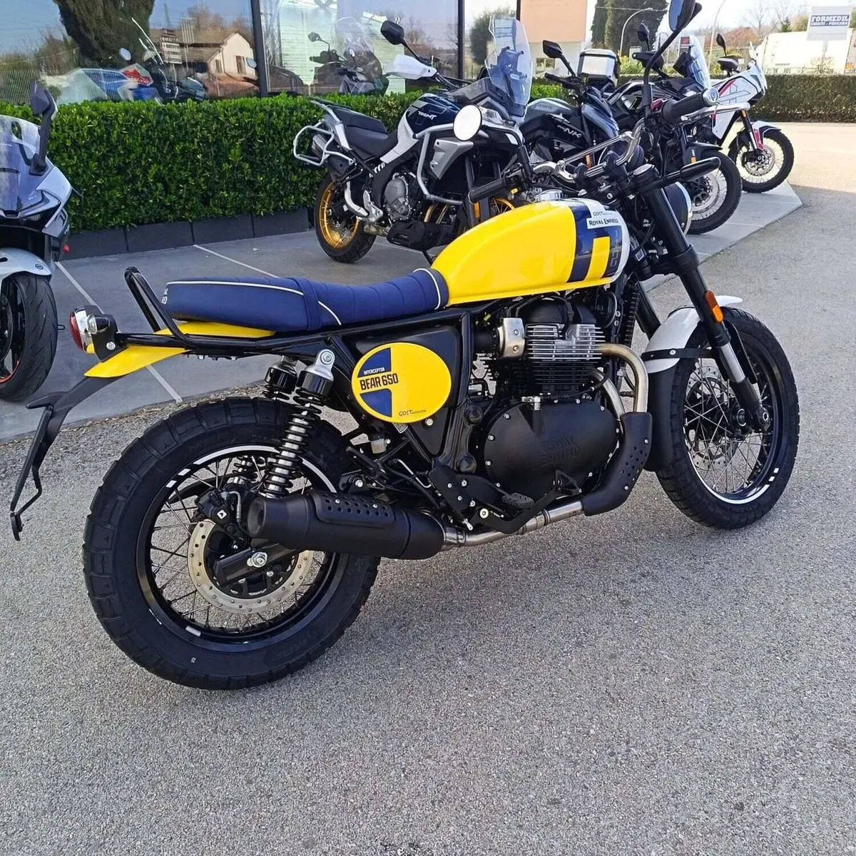 Royal Enfield Bear 650 (2025 - 26) (3)