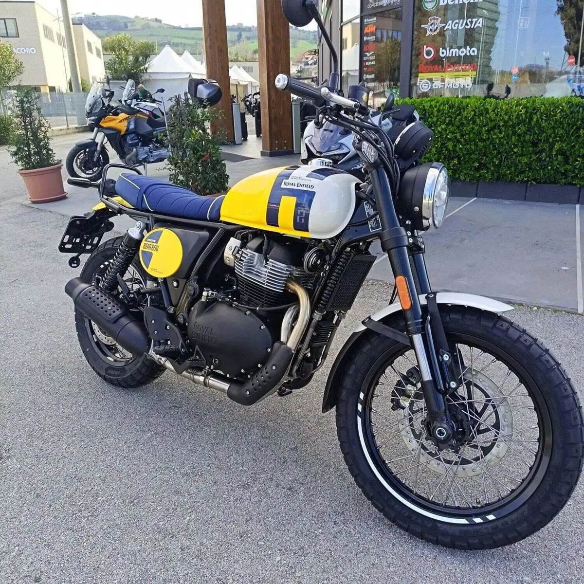 Royal Enfield Bear 650 (2025 - 26) (4)