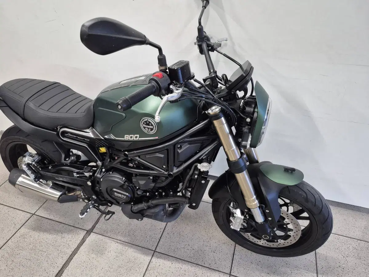 Benelli Leoncino 800 (2022 - 26) (2)