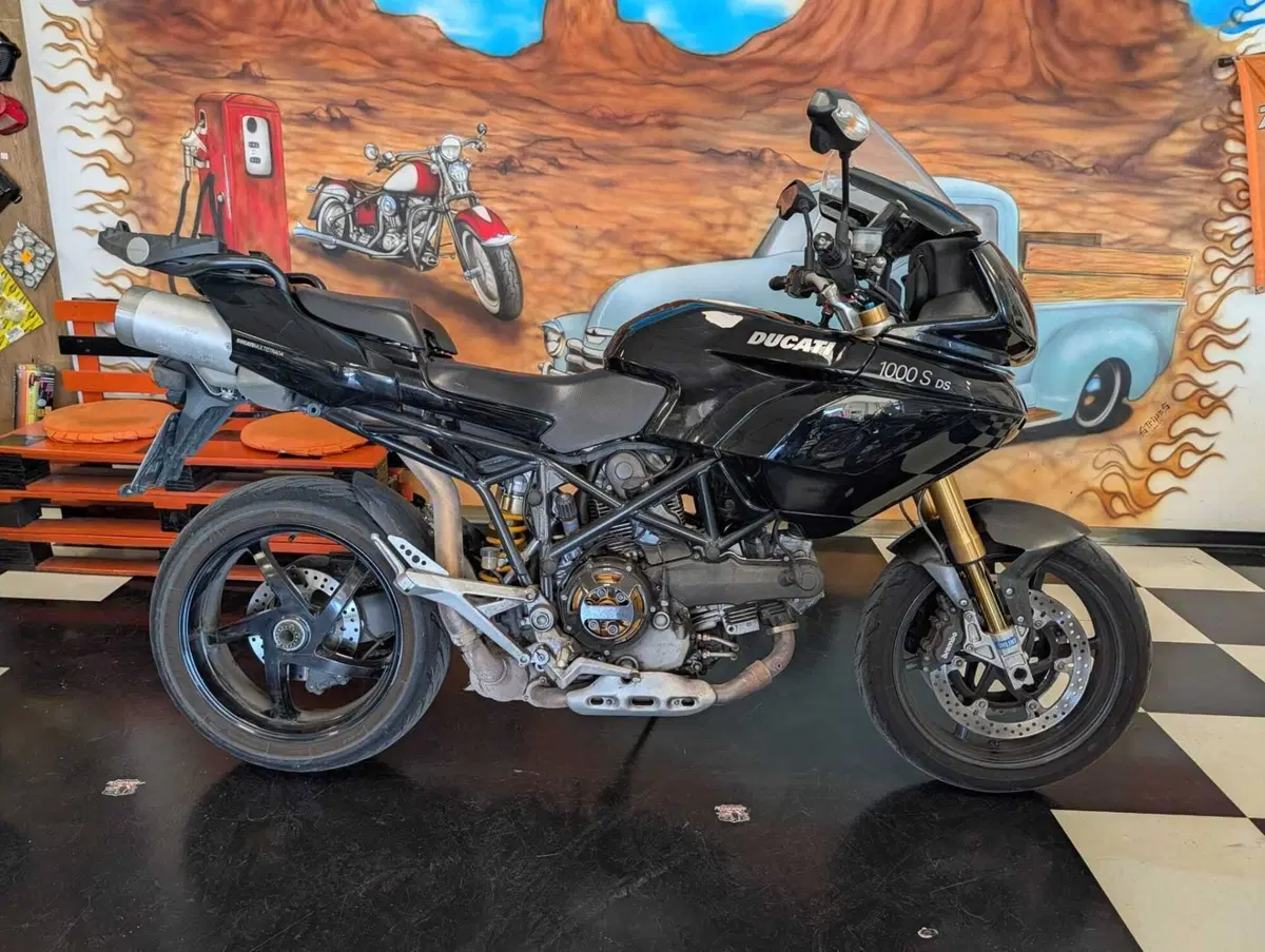 Ducati Multistrada 1000 S DS (2003 - 06) (2)