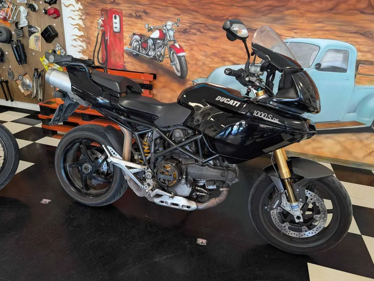 Ducati Multistrada 1000 S DS (2003 - 06) (5)