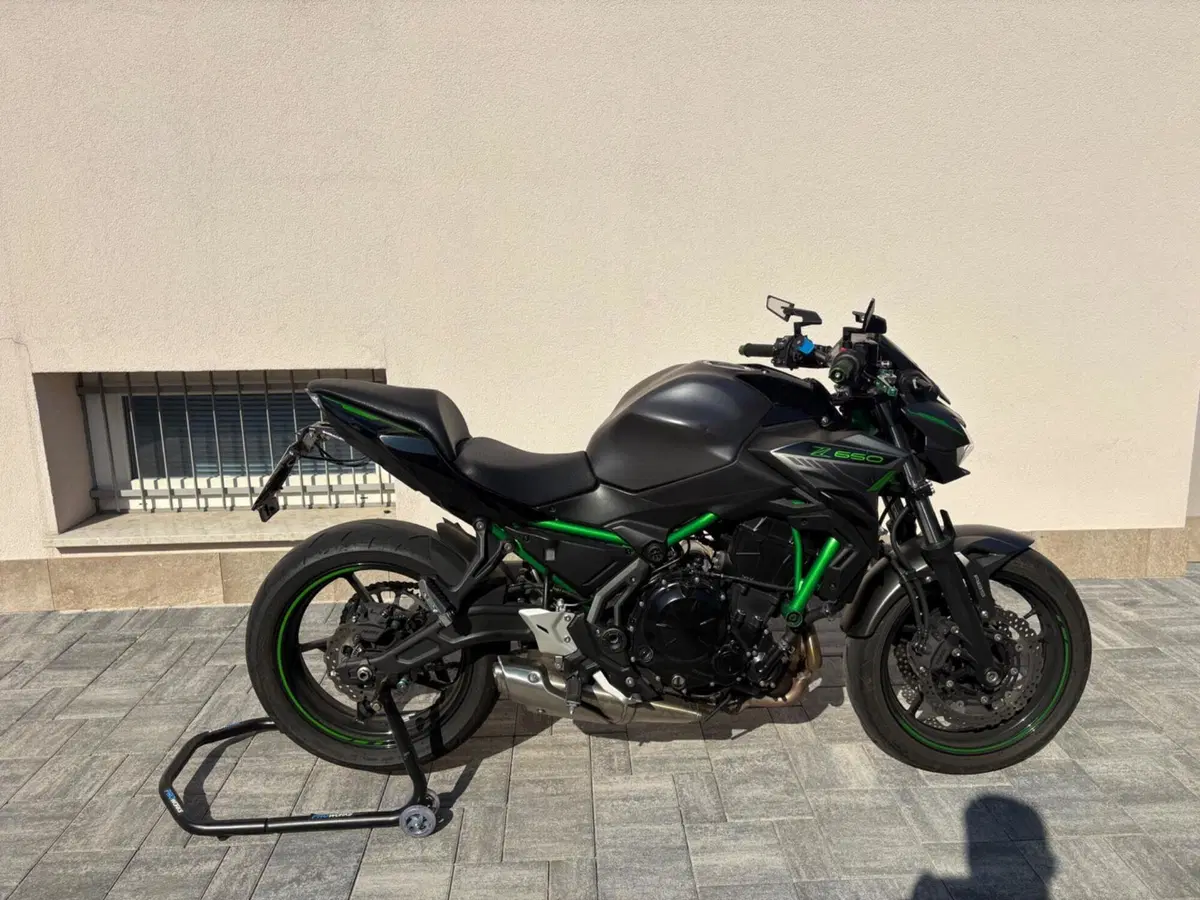 Kawasaki Z 650 (2021 - 24)