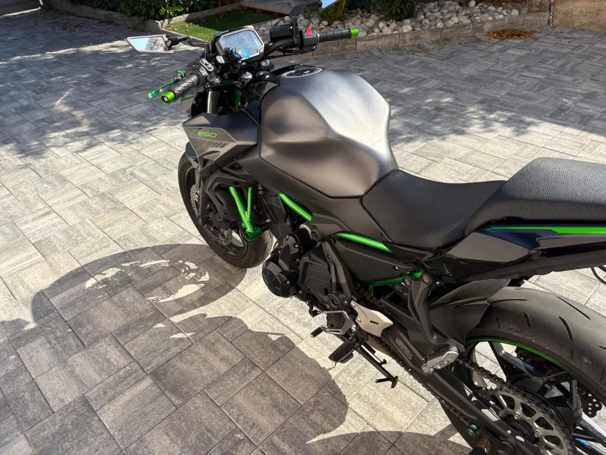 Kawasaki Z 650 (2021 - 24) (5)