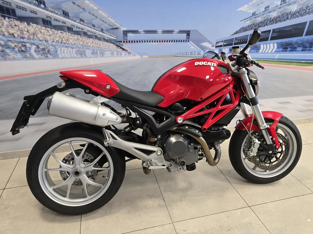 Ducati Monster 1100 (2009 - 10) (15)