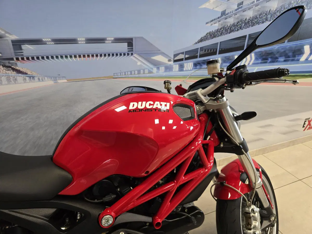 Ducati Monster 1100 (2009 - 10) (17)