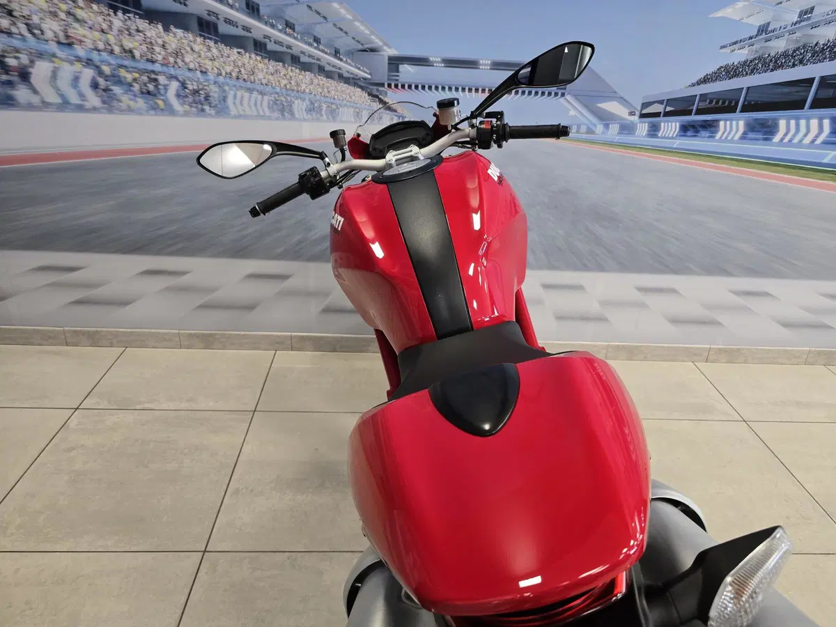 Ducati Monster 1100 (2009 - 10) (18)