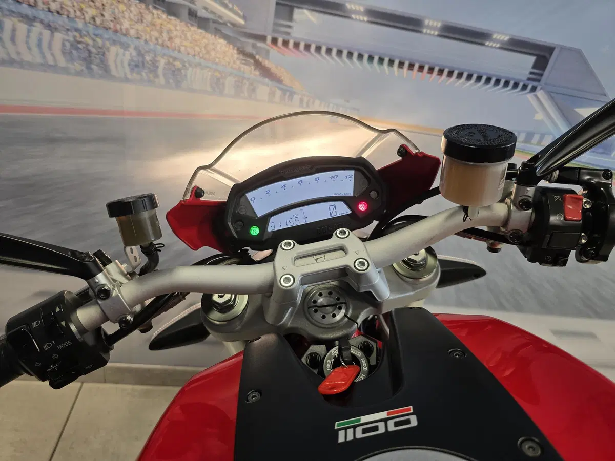 Ducati Monster 1100 (2009 - 10) (19)