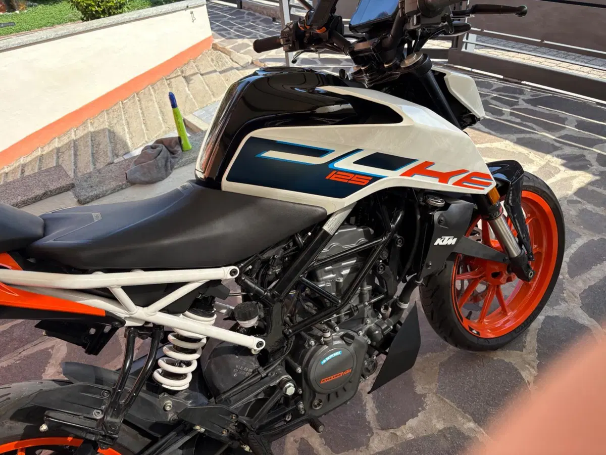 KTM 125 Duke (2024 - 25) (2)