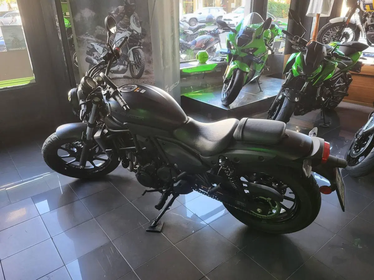 Kawasaki Eliminator 500 (2024 - 27) (3)