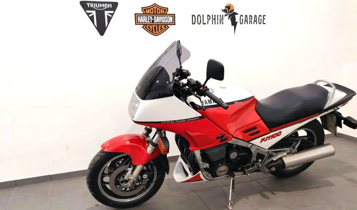 Yamaha FJ 1100 (9)