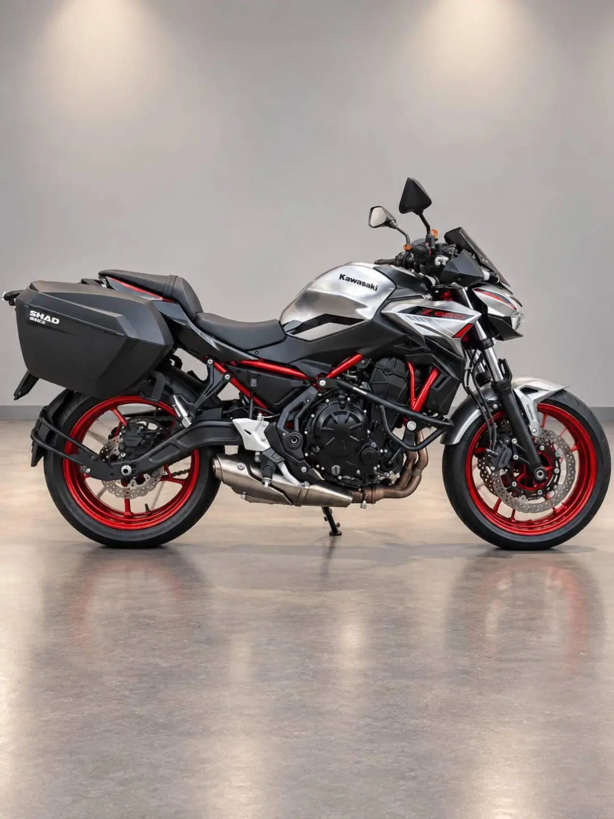 Kawasaki Z 650 (2021 - 24)