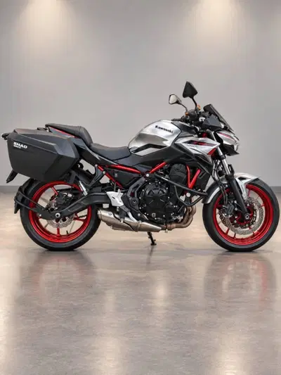 Kawasaki Z 650 (2021 - 24) usata