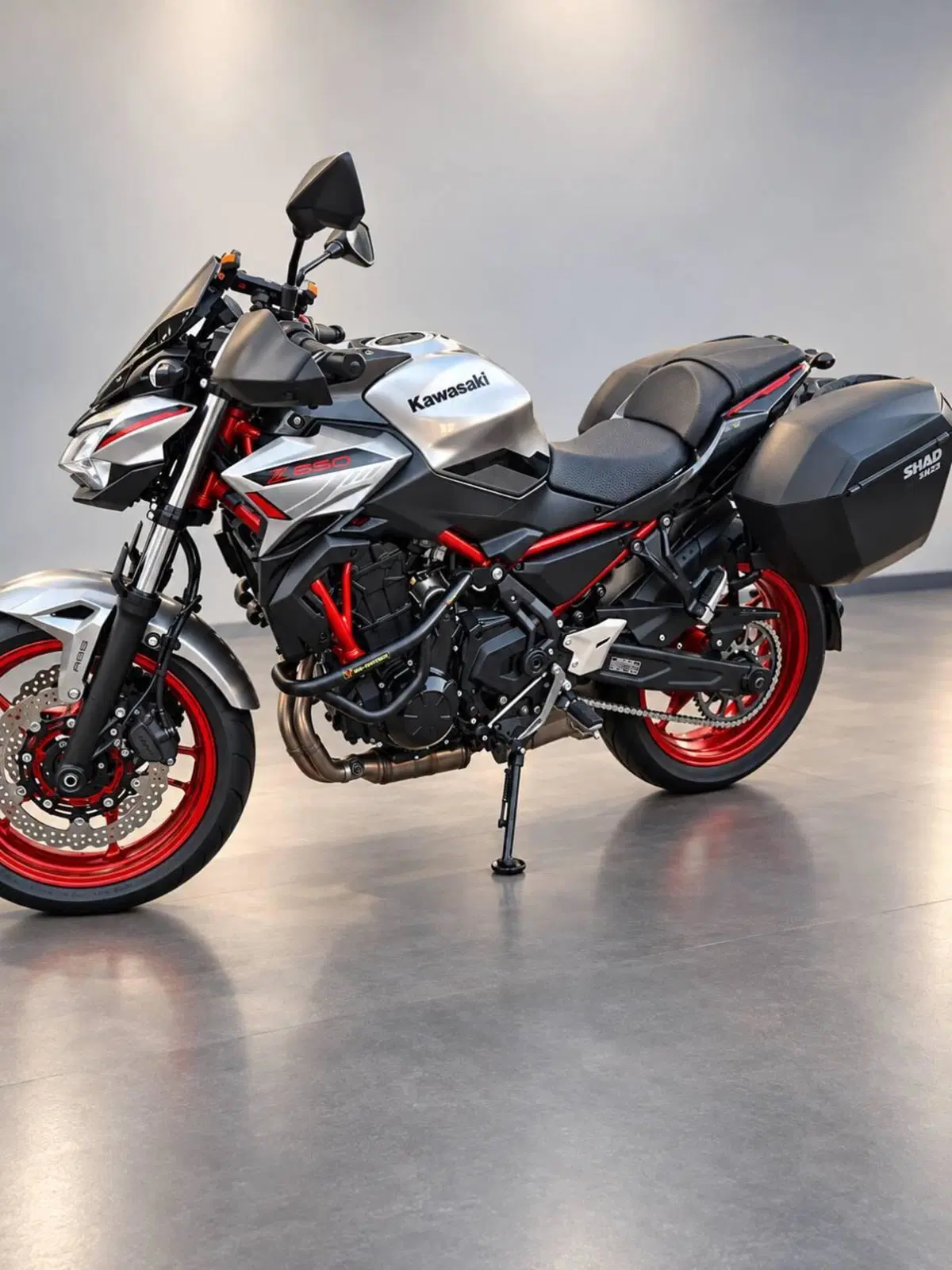 Kawasaki Z 650 (2021 - 24) (2)