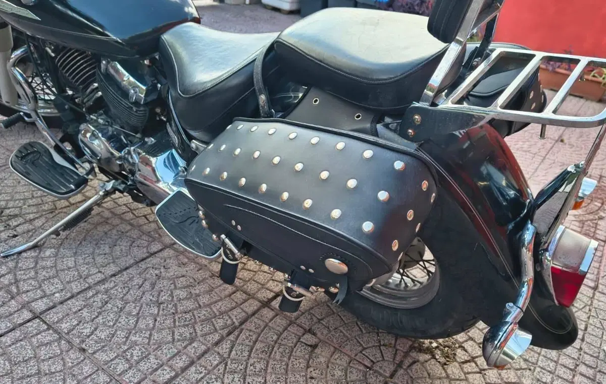 Yamaha XVS 650 Drag Star A Classic (1998 - 06) (15)