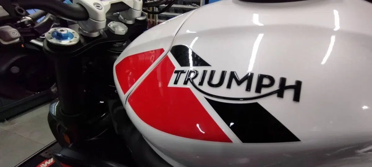 Triumph Speed Triple 1050 RS (2018 - 20) (6)