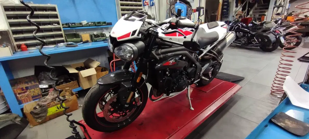 Triumph Speed Triple 1050 RS (2018 - 20) (8)