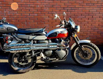 Triumph Scrambler (2006 - 17) usata