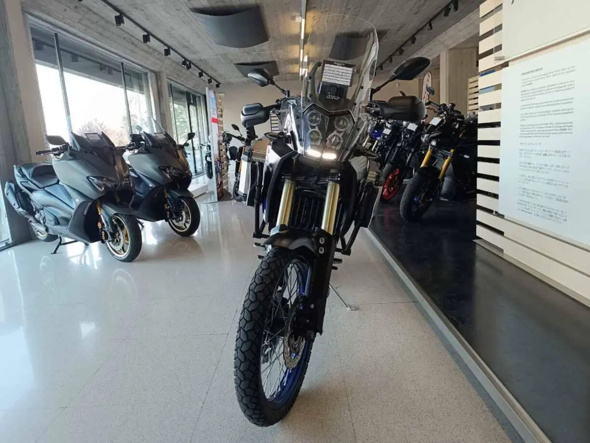 Yamaha Ténéré 700 (2019 - 20) (2)