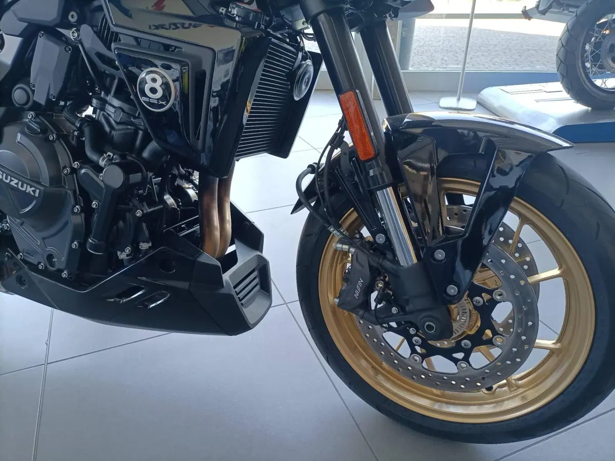 Suzuki GSX-8TT (2025 - 26) (6)