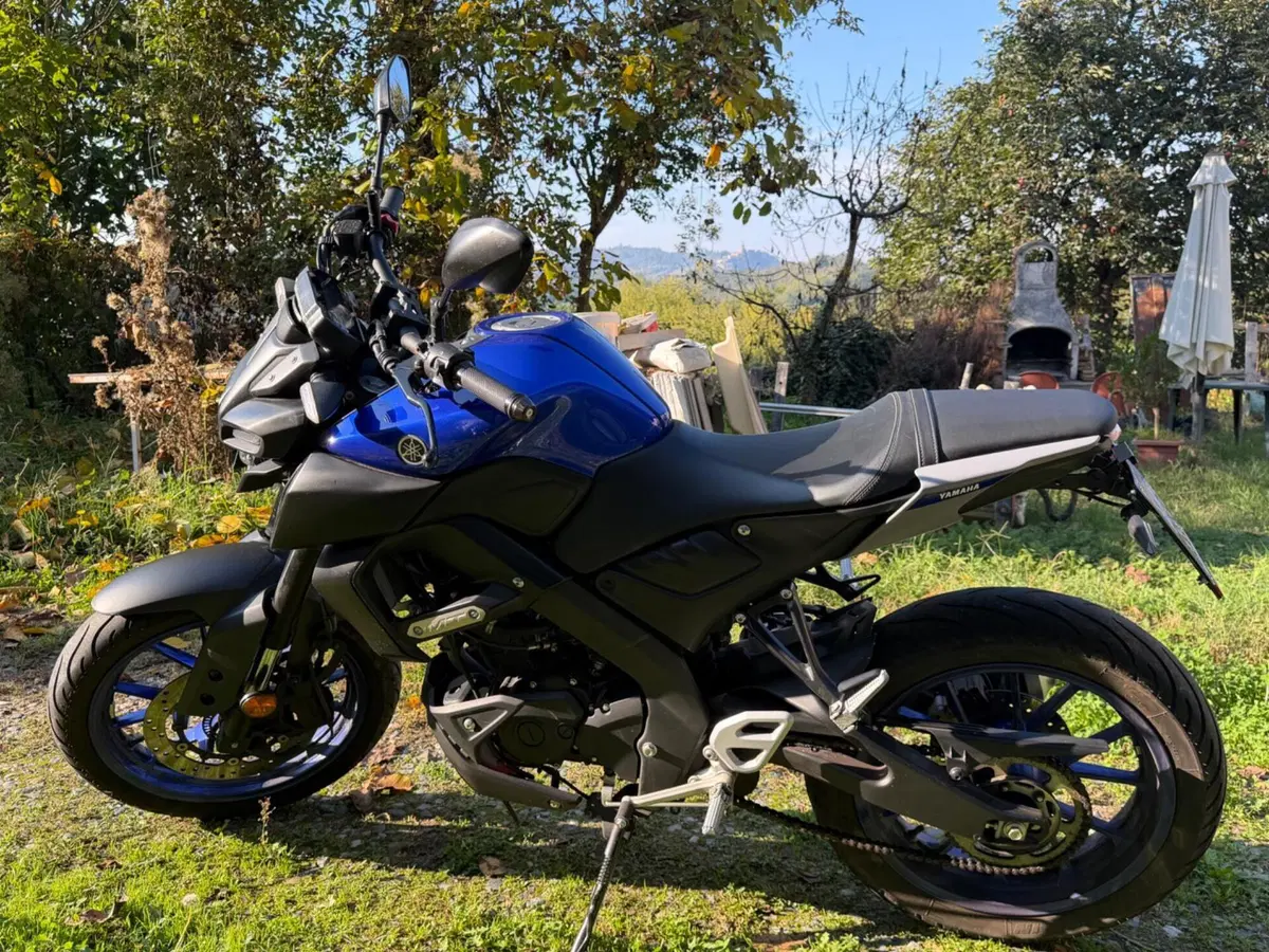Yamaha MT-125 ABS (2020) (13)