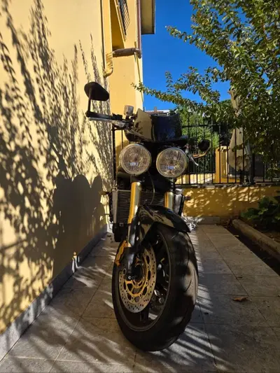 Triumph Speed Triple 1050 (2005 - 11) usata