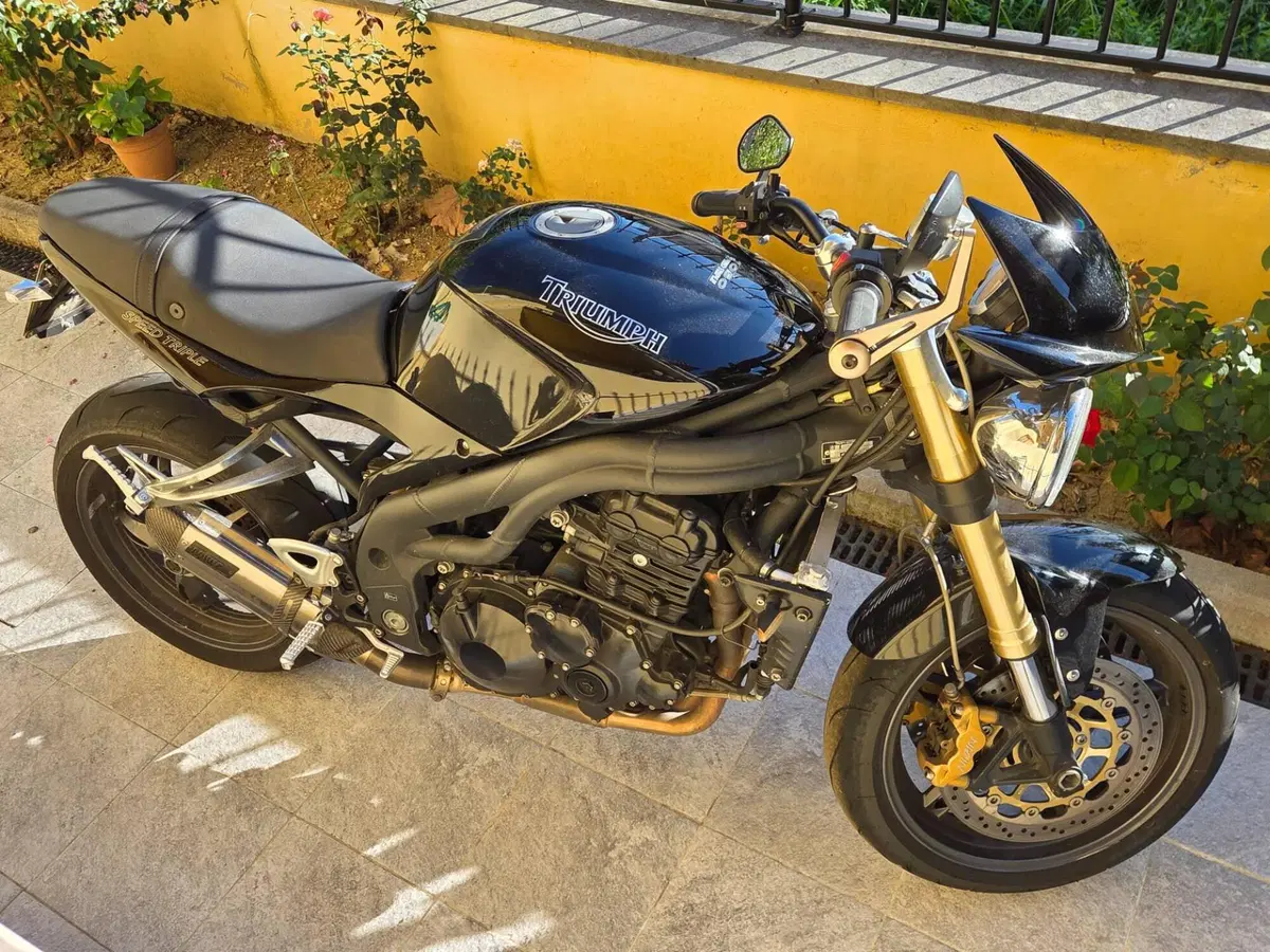 Triumph Speed Triple 1050 (2005 - 11) (2)