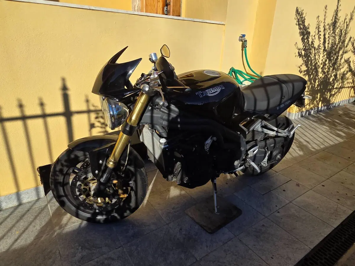 Triumph Speed Triple 1050 (2005 - 11) (3)