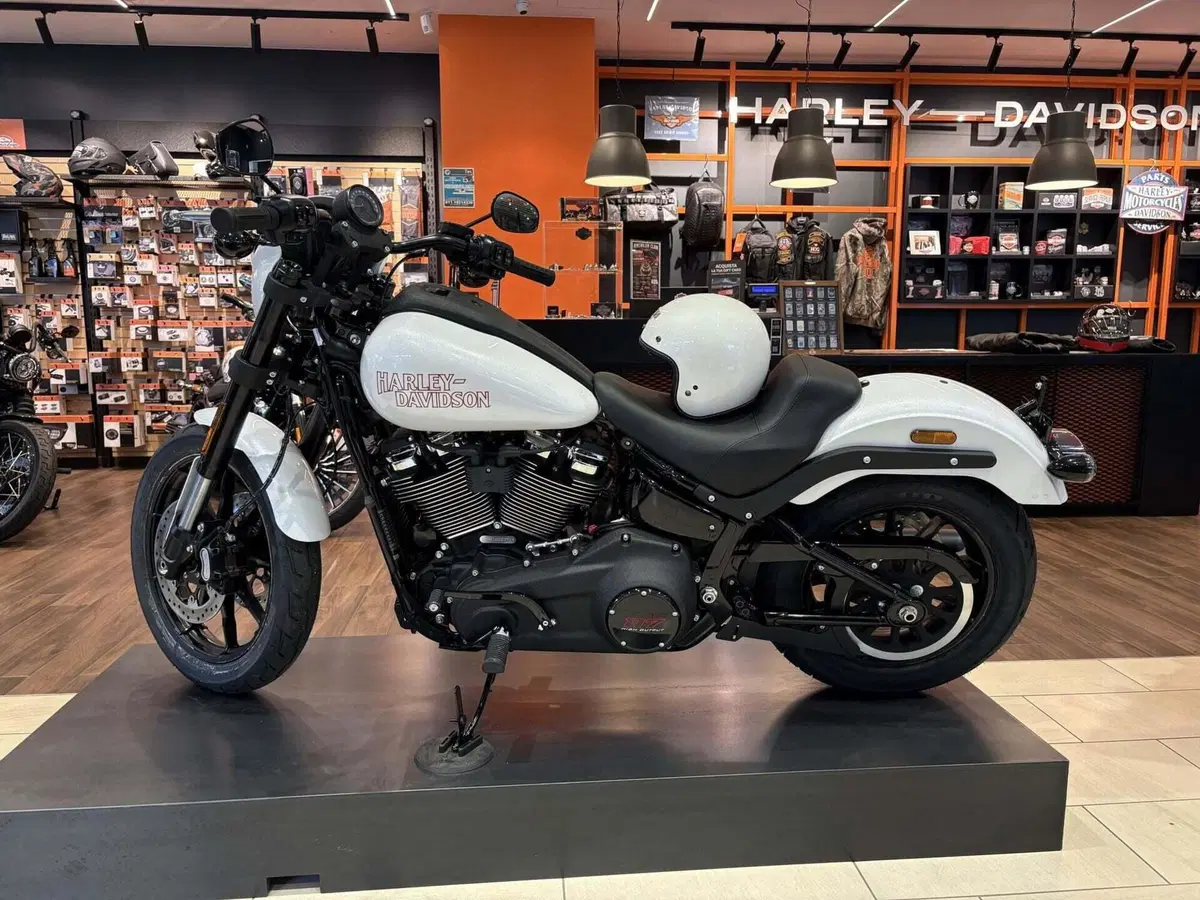 Harley-Davidson Low Rider S (2025 - 26) (2)