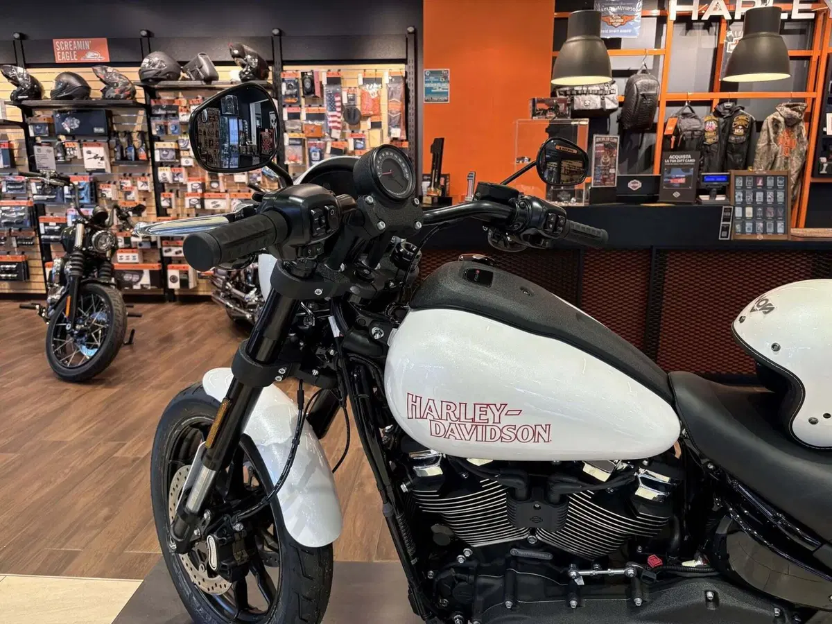 Harley-Davidson Low Rider S (2025 - 26) (4)