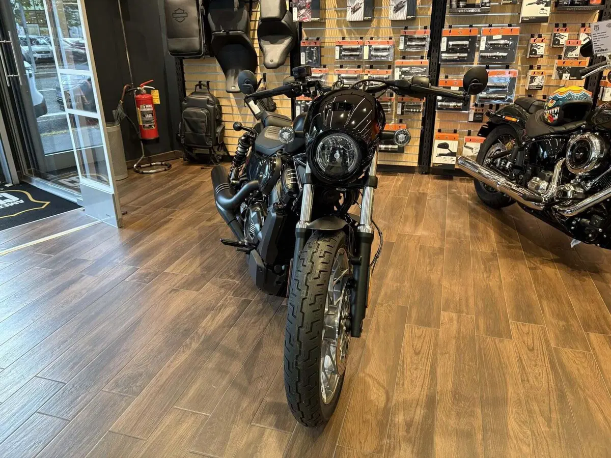 Harley-Davidson Nightster Special (2023 - 26) (2)