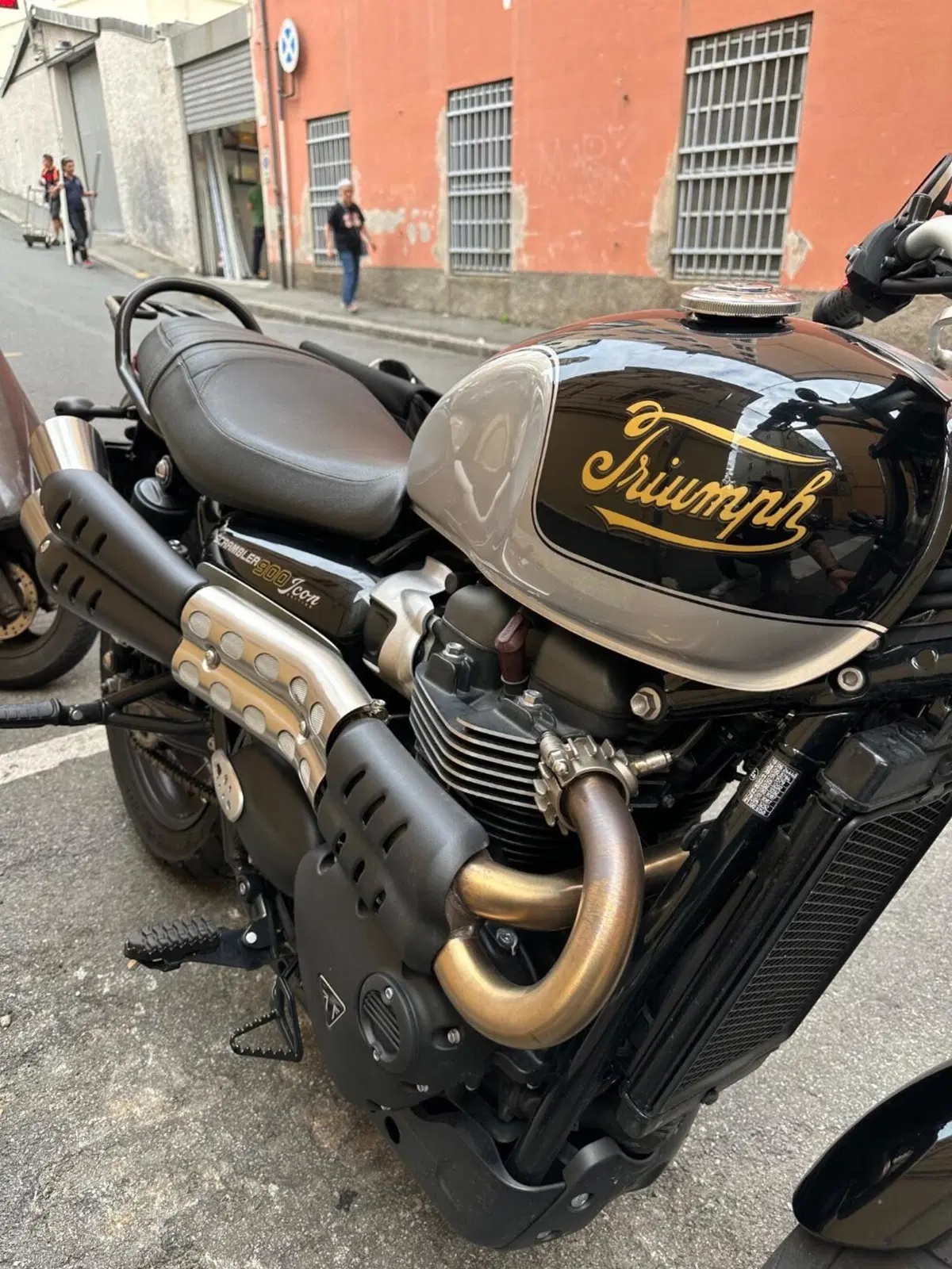 Triumph Scrambler 900 Icon Edition (2025 - 26) (2)