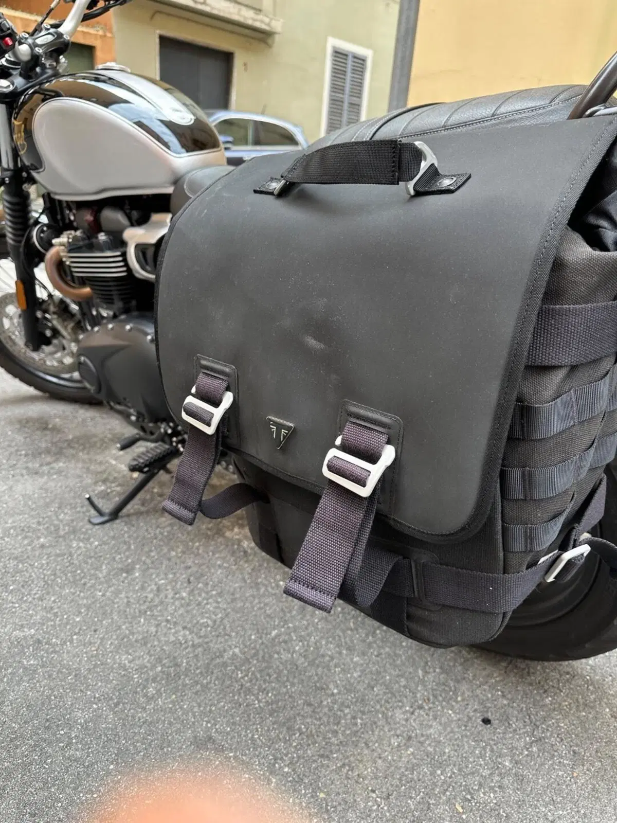 Triumph Scrambler 900 Icon Edition (2025 - 26) (6)