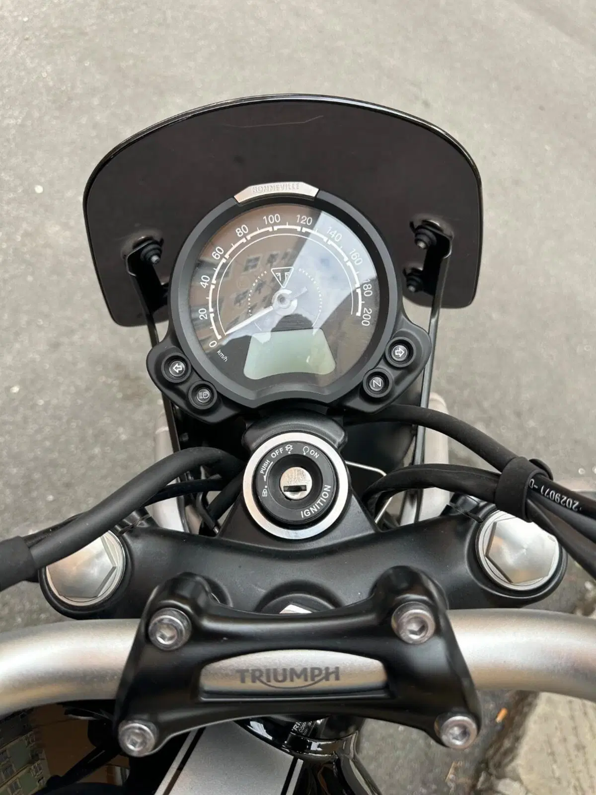 Triumph Scrambler 900 Icon Edition (2025 - 26) (13)
