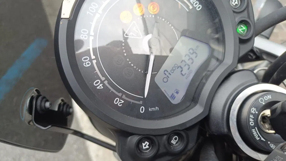 Triumph Scrambler 900 Icon Edition (2025 - 26) (14)