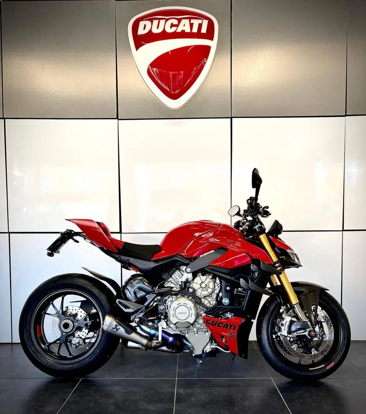 Ducati Streetfighter V4 S (2023 - 24) (2)