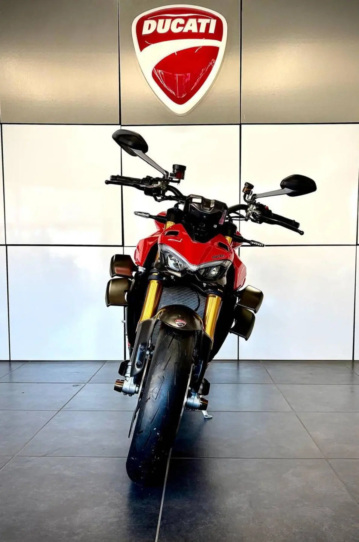 Ducati Streetfighter V4 S (2023 - 24) (3)