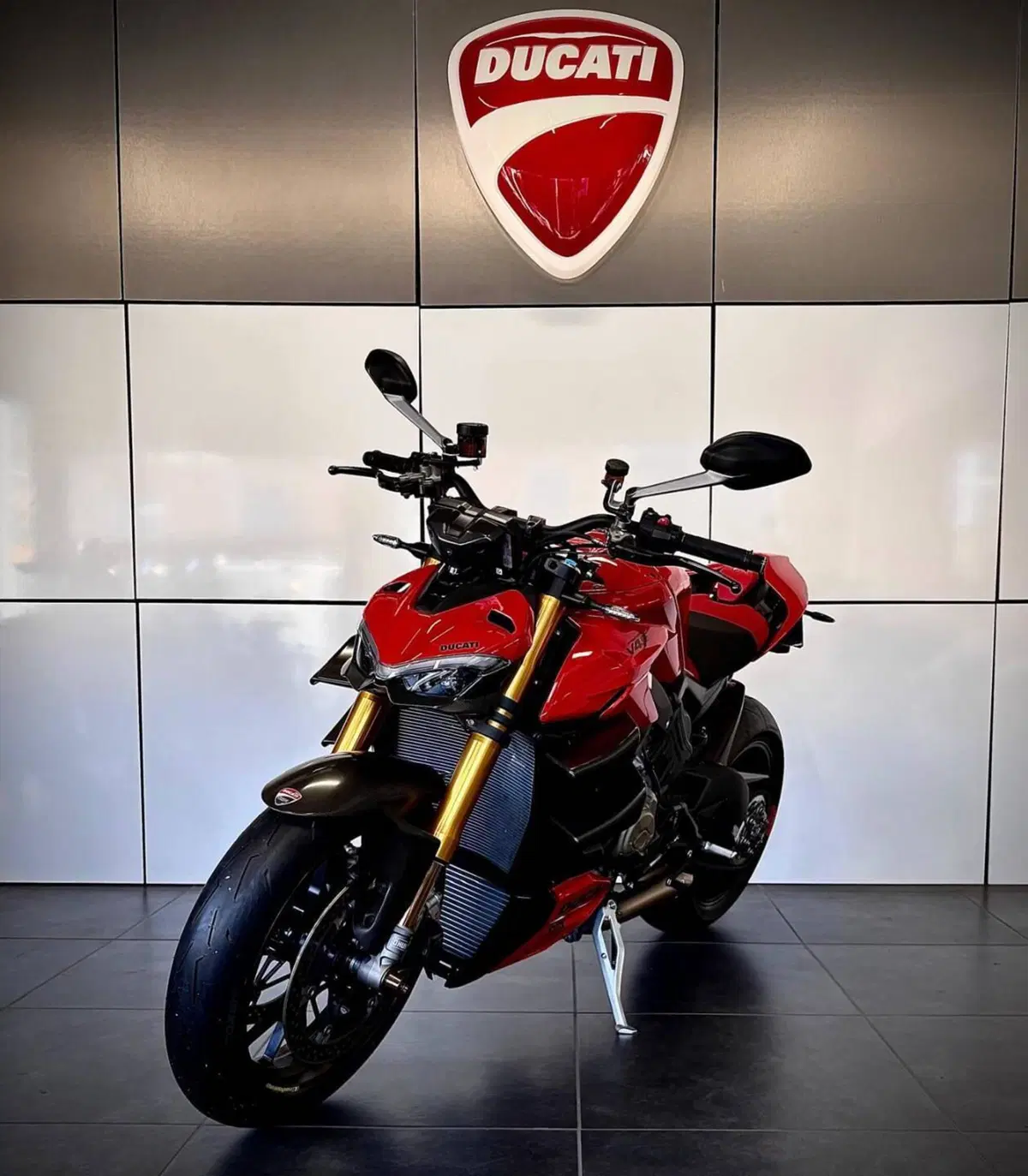 Ducati Streetfighter V4 S (2023 - 24) (5)
