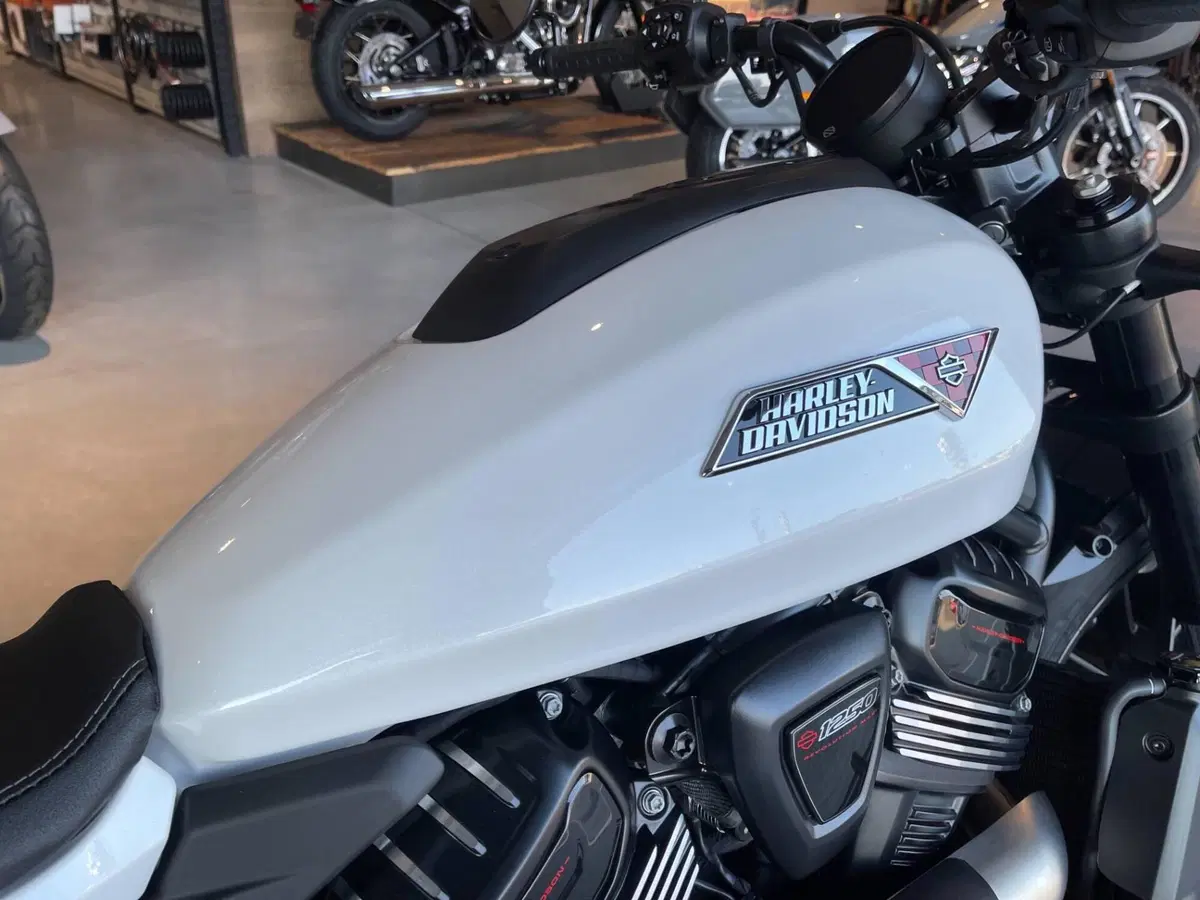 Harley-Davidson Sportster S (2025 - 26) (4)
