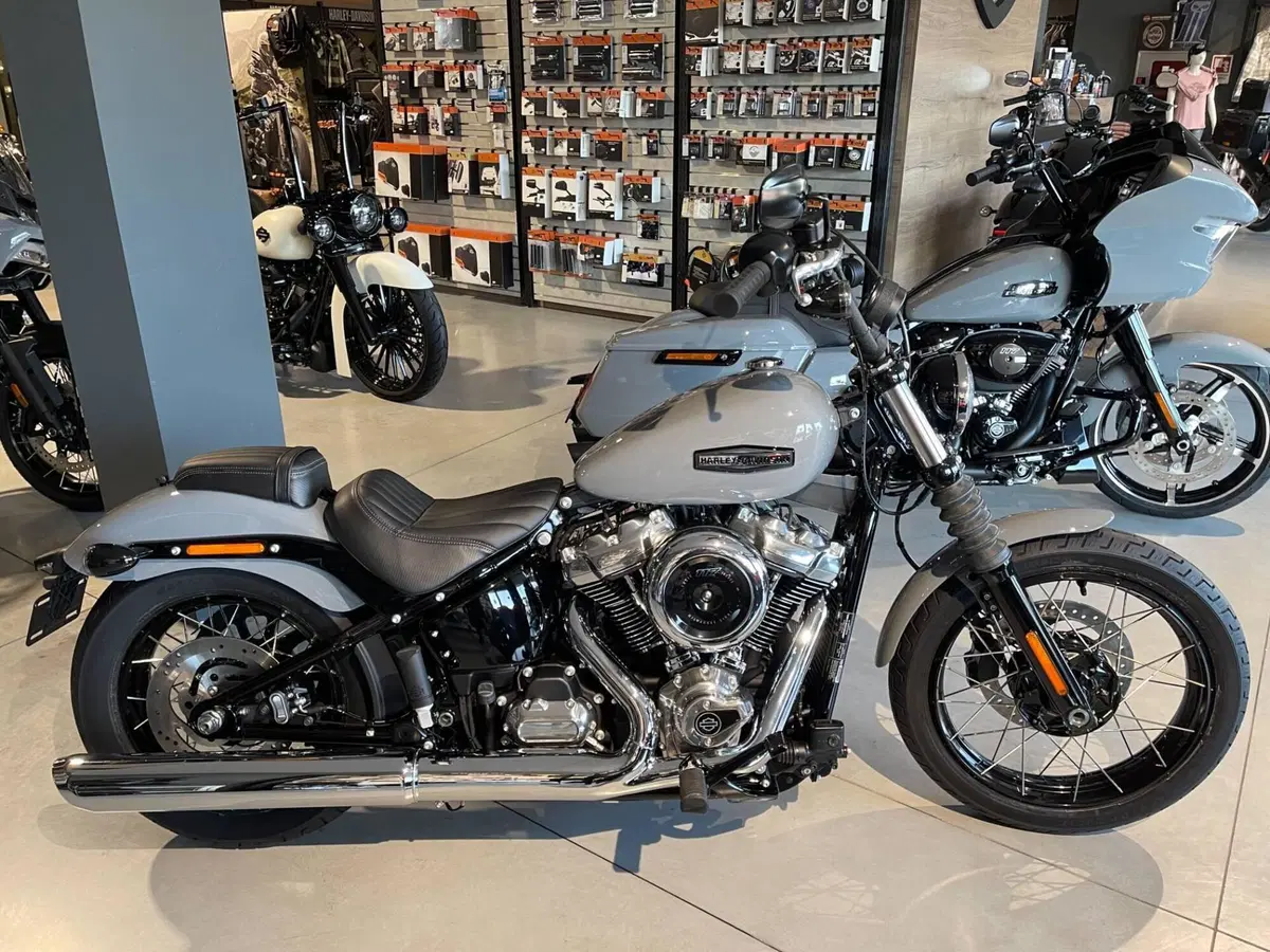 Harley-Davidson Street Bob 117 (2025 - 26)