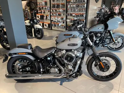 Harley-Davidson Street Bob 117 (2025 - 26) nuova