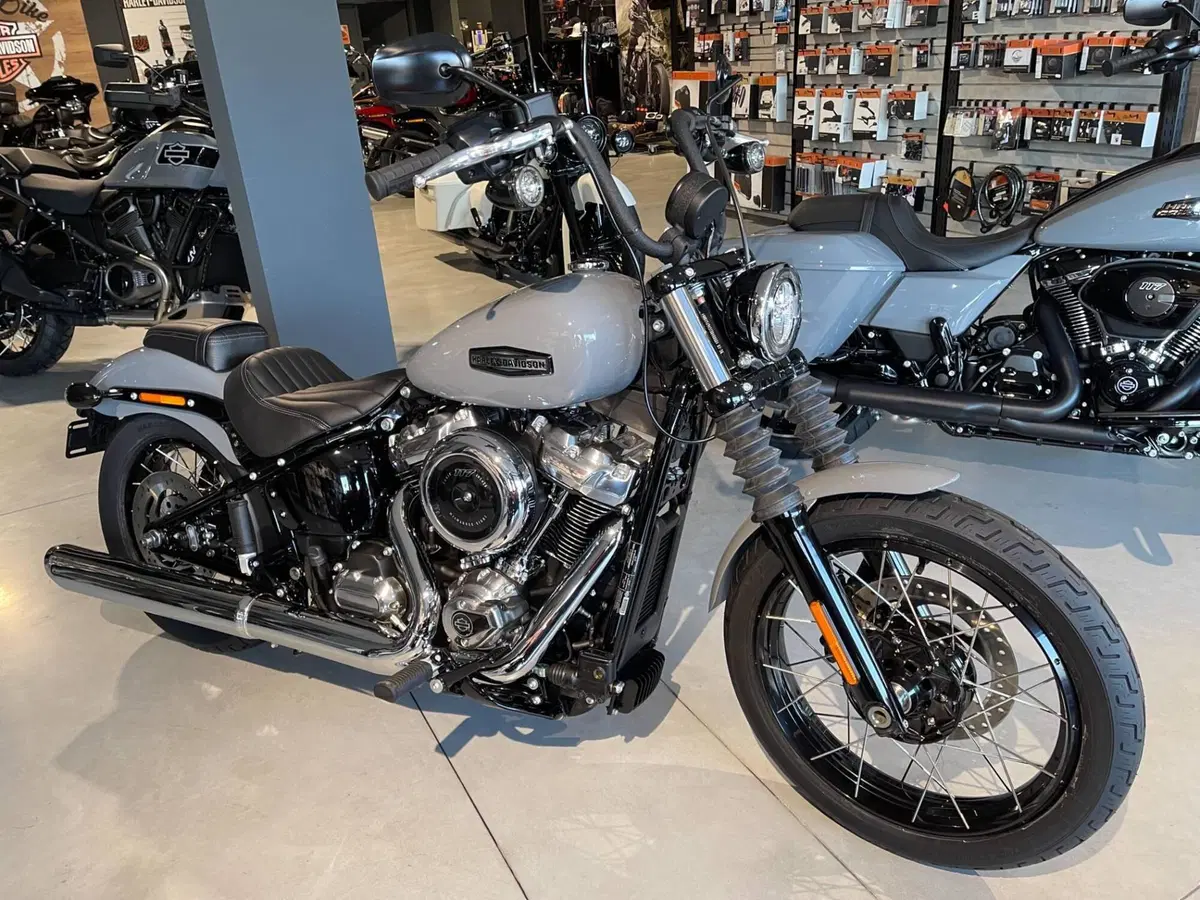 Harley-Davidson Street Bob 117 (2025 - 26) (2)