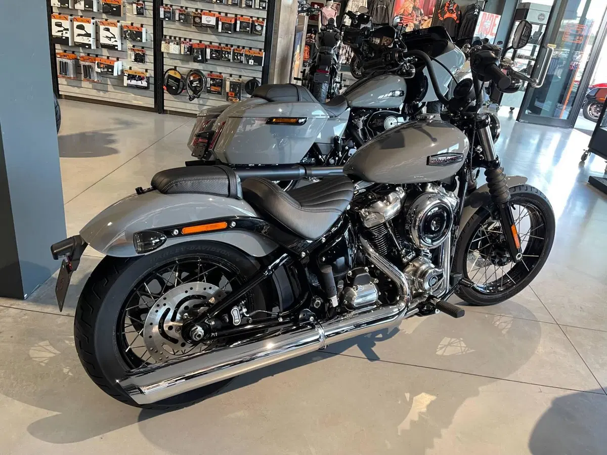 Harley-Davidson Street Bob 117 (2025 - 26) (3)