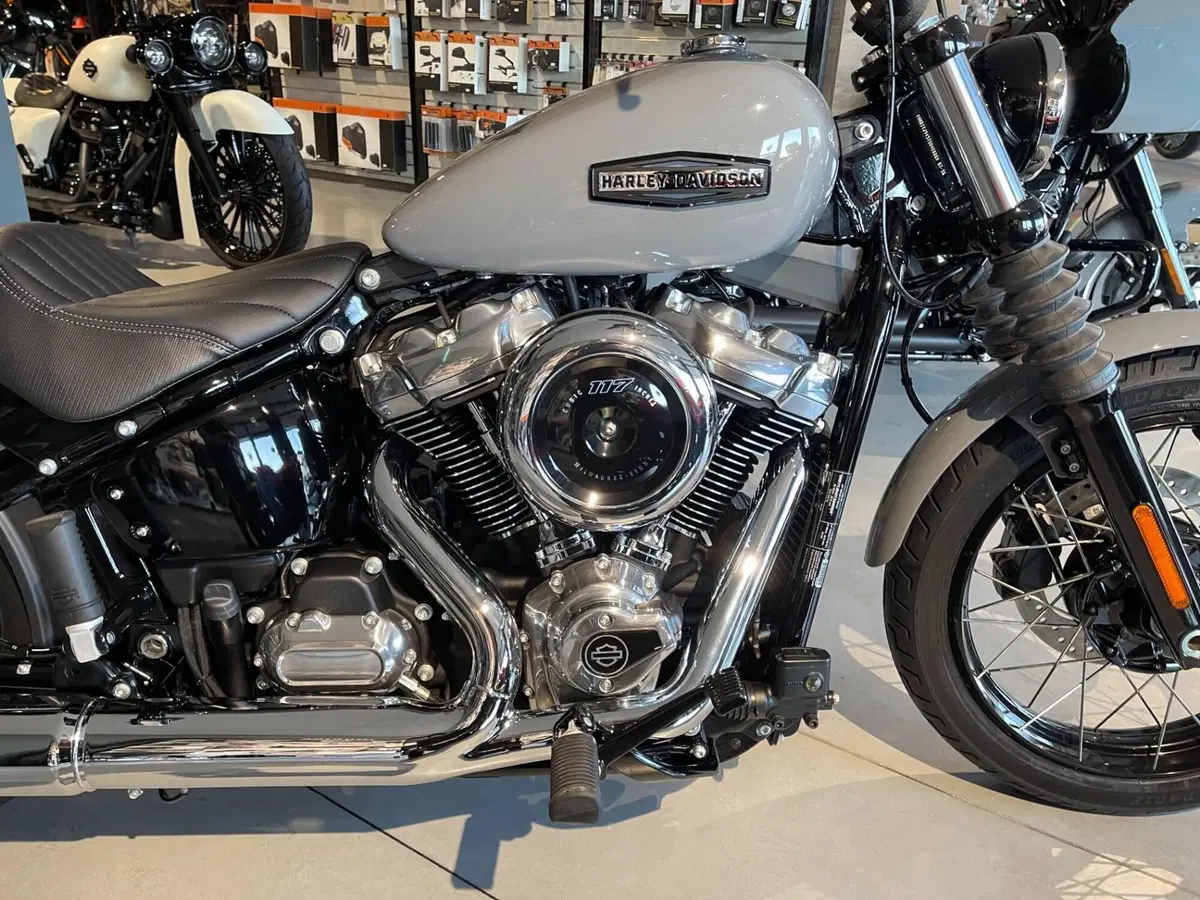 Harley-Davidson Street Bob 117 (2025 - 26) (4)