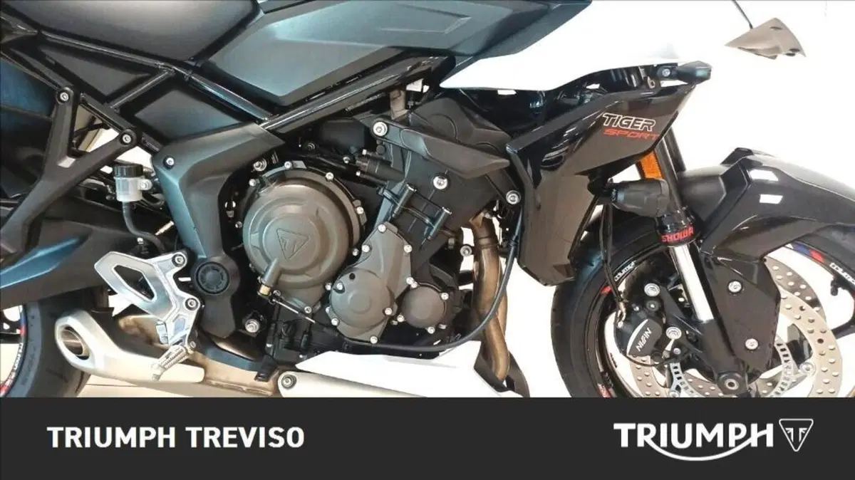 Triumph Tiger Sport 660 (2022 - 24) (5)