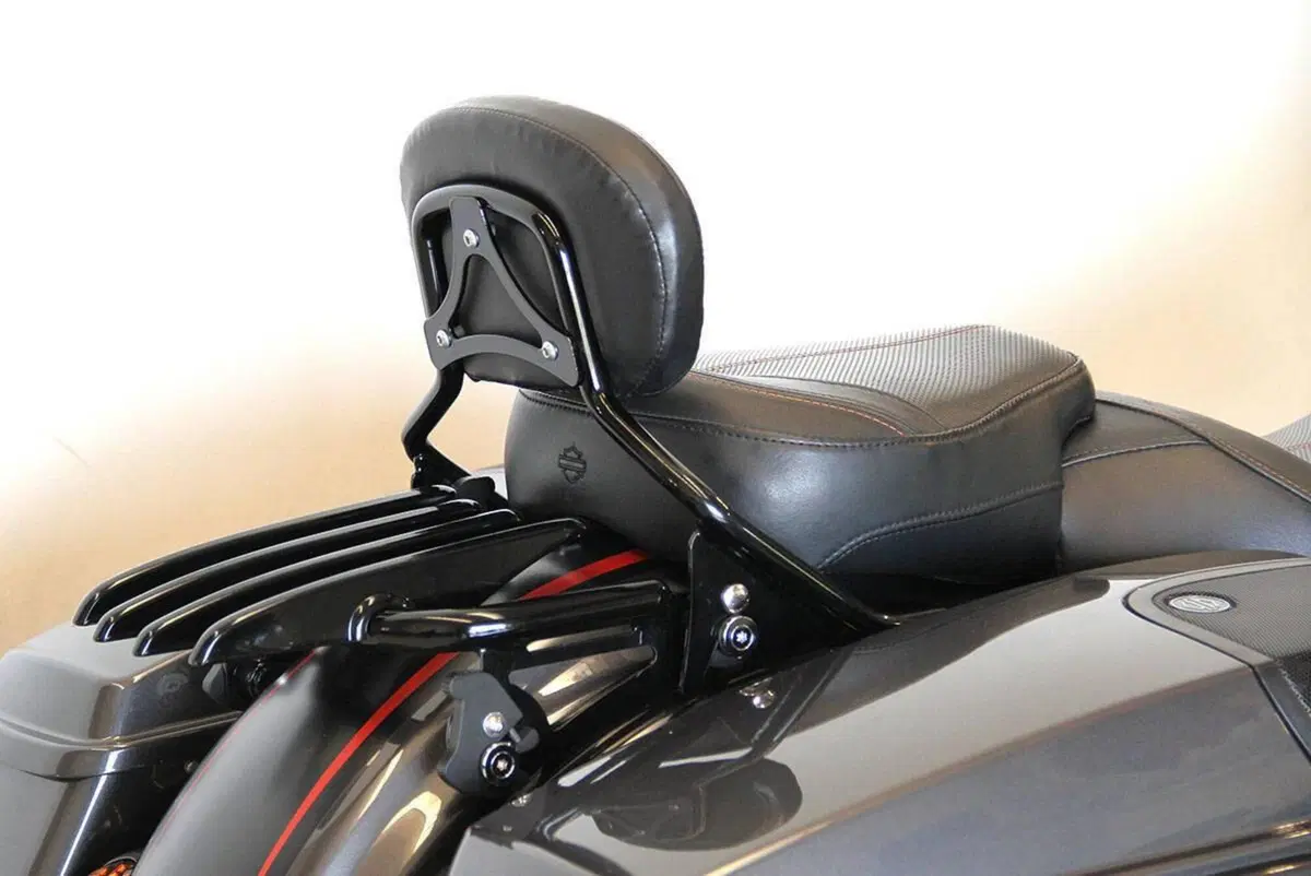 Harley-Davidson 117 Street Glide (2018 - 20) - FLHXSE (4)