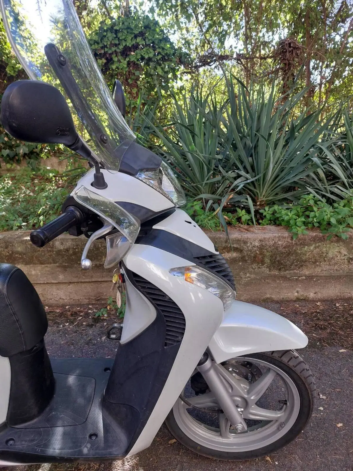 Honda SH 125 i (2009 - 12) (5)