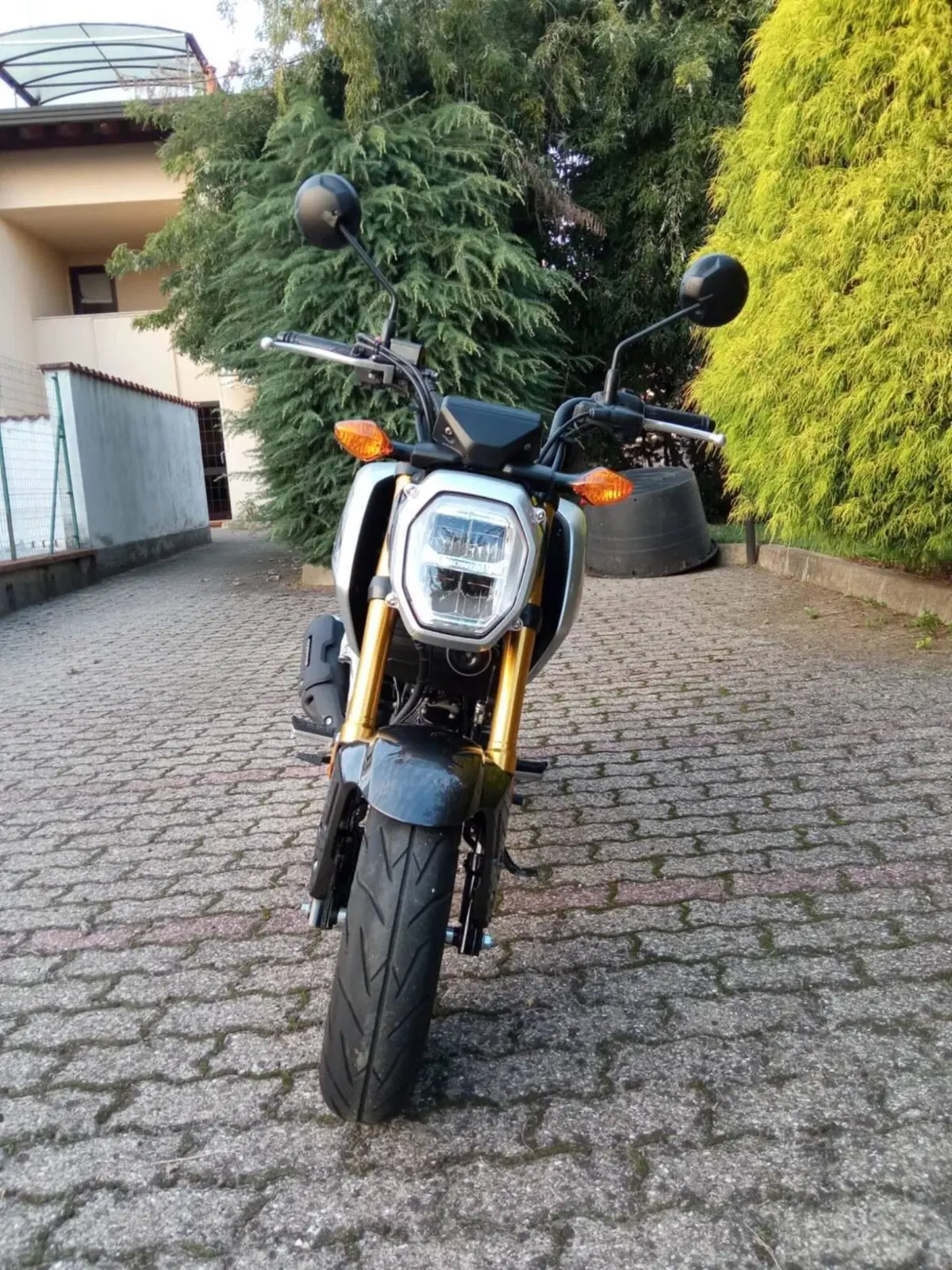 Honda MSX 125 Grom (2021 - 26) (3)