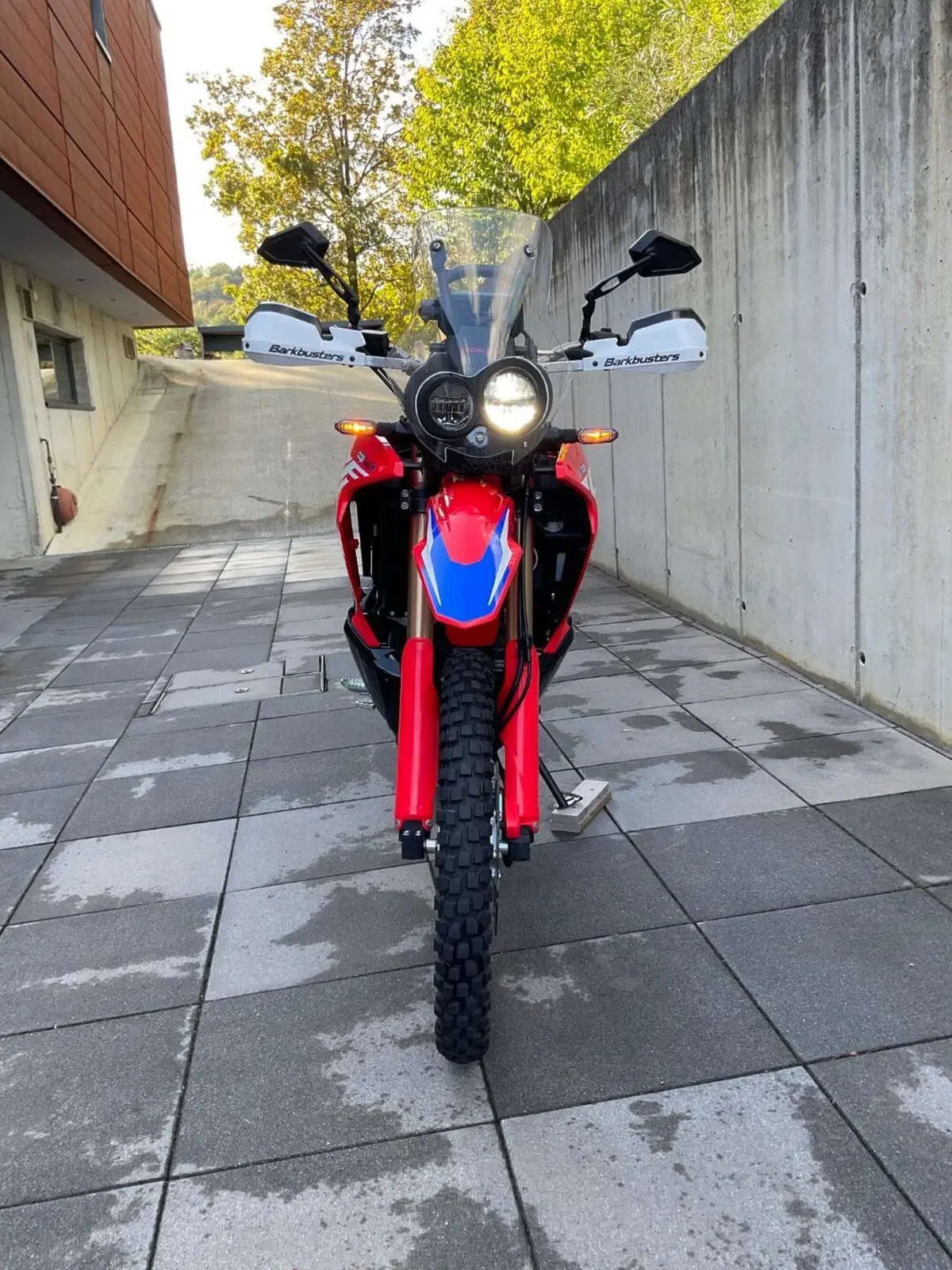 Honda CRF 300 Rally (2021 - 24) (6)