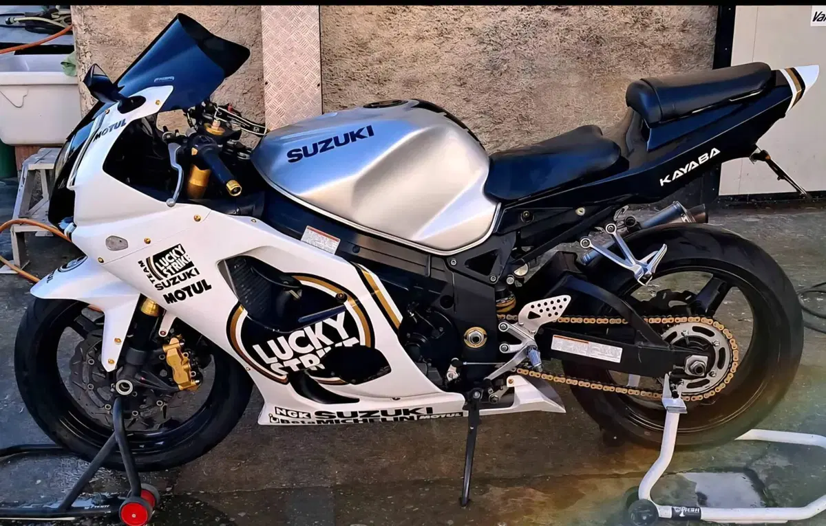 Suzuki GSX-R1000 (2003 - 04) (3)