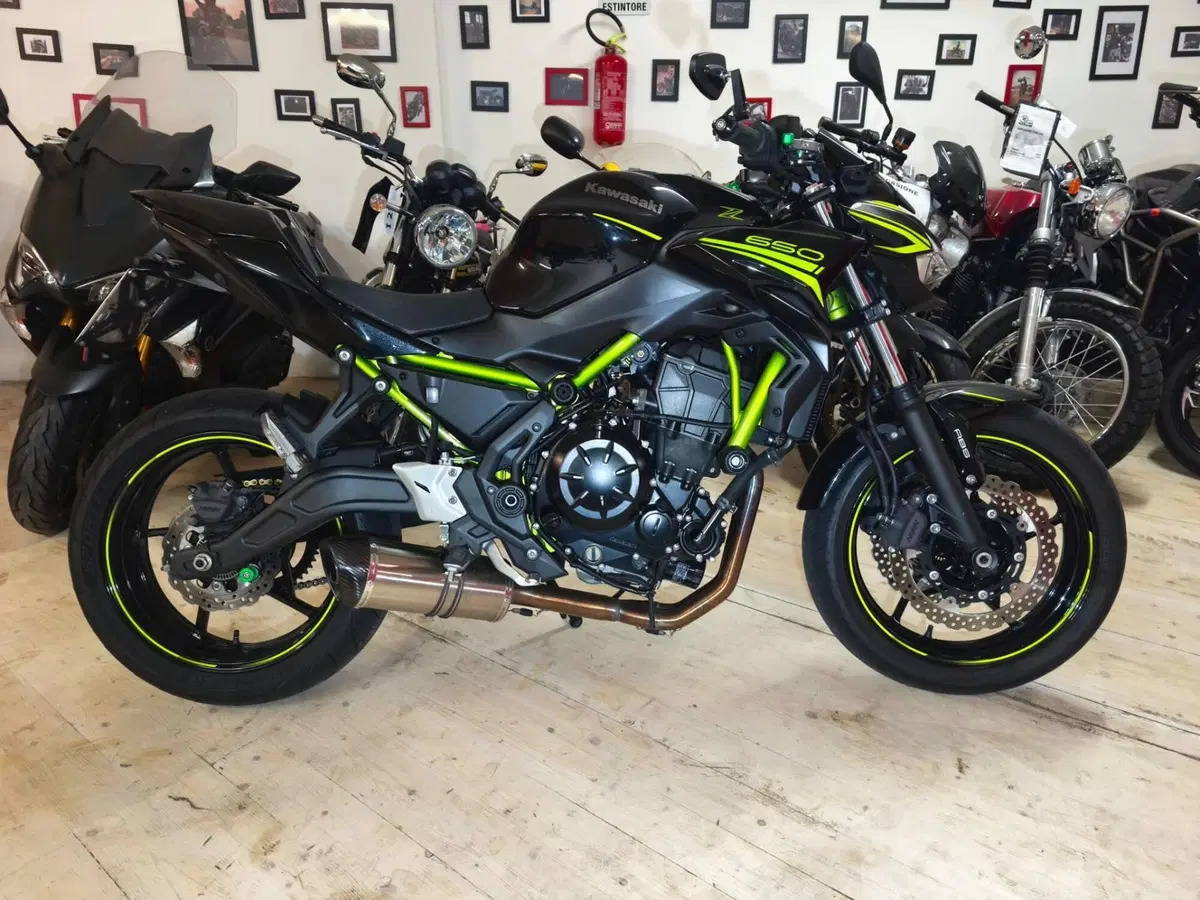 Kawasaki Z 650 (2020)